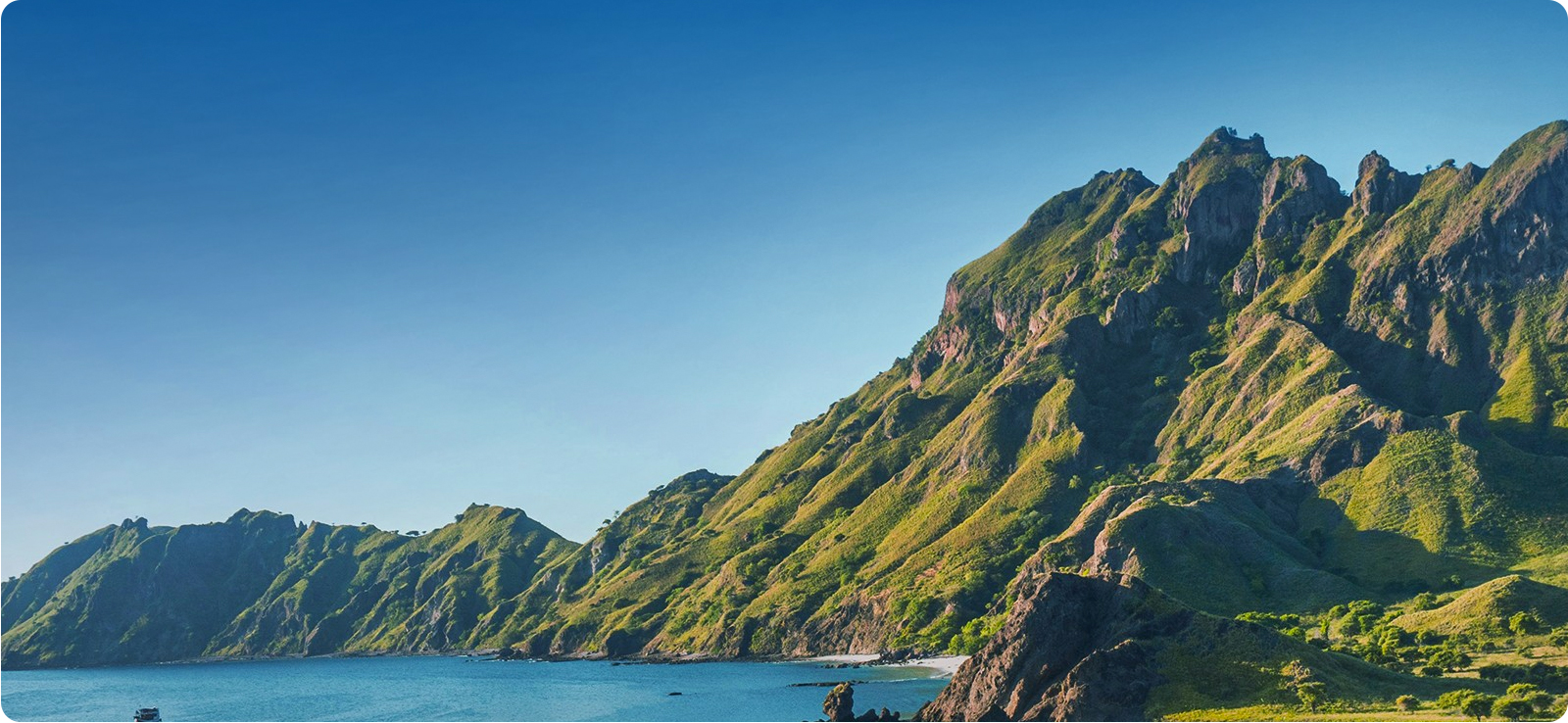 122cc太阳集成游戏绿色允许及行动